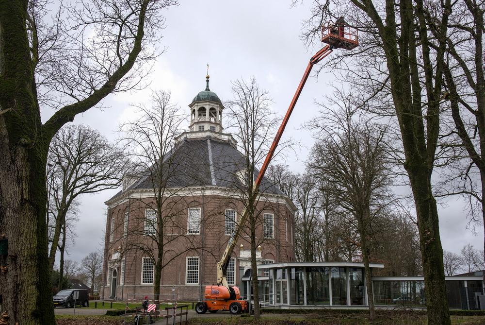 Snoei monumentale bomen Koepelkerk Smilde