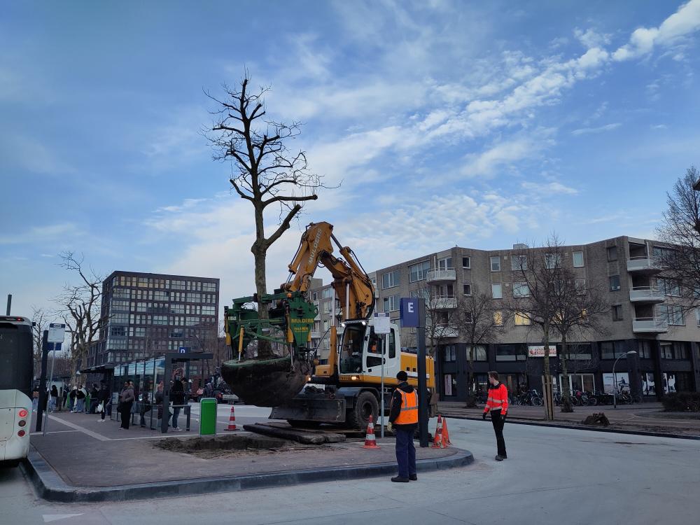 werkzaamheden week 4
